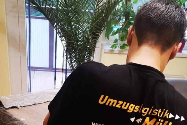 Laborumzug Nebelschütz stressfrei umziehen 